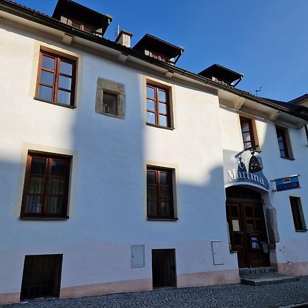 Pension U Martina Domažlice Kültér fotó